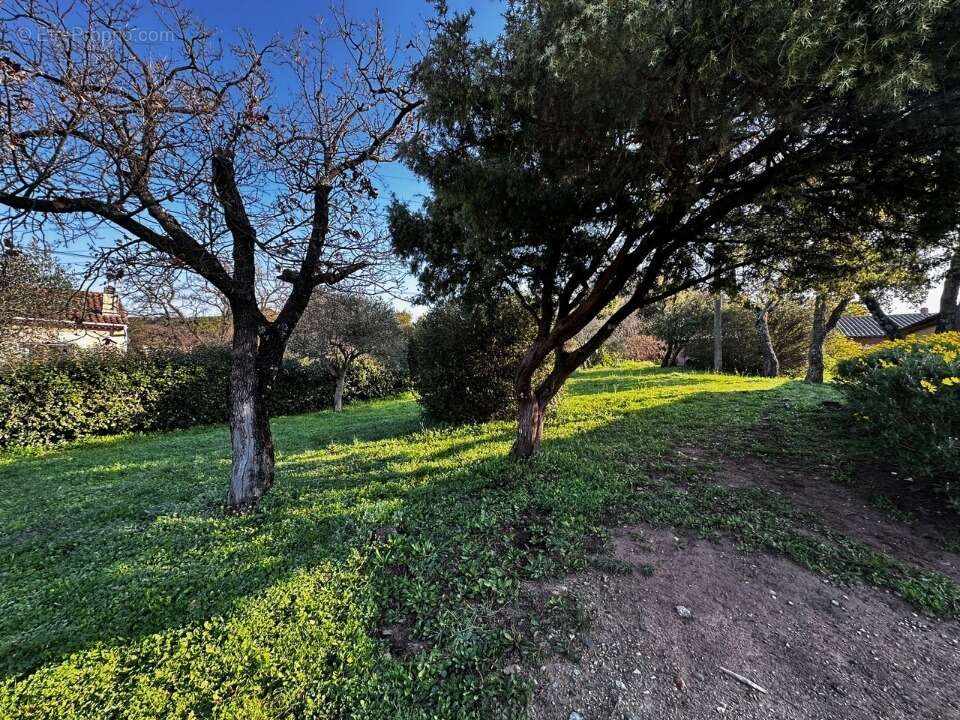 Terrain à PUGET-SUR-ARGENS