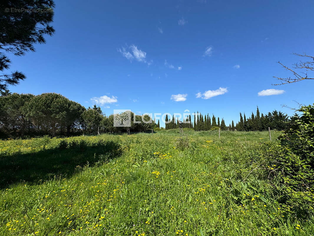 Terrain à SAINT-CYPRIEN