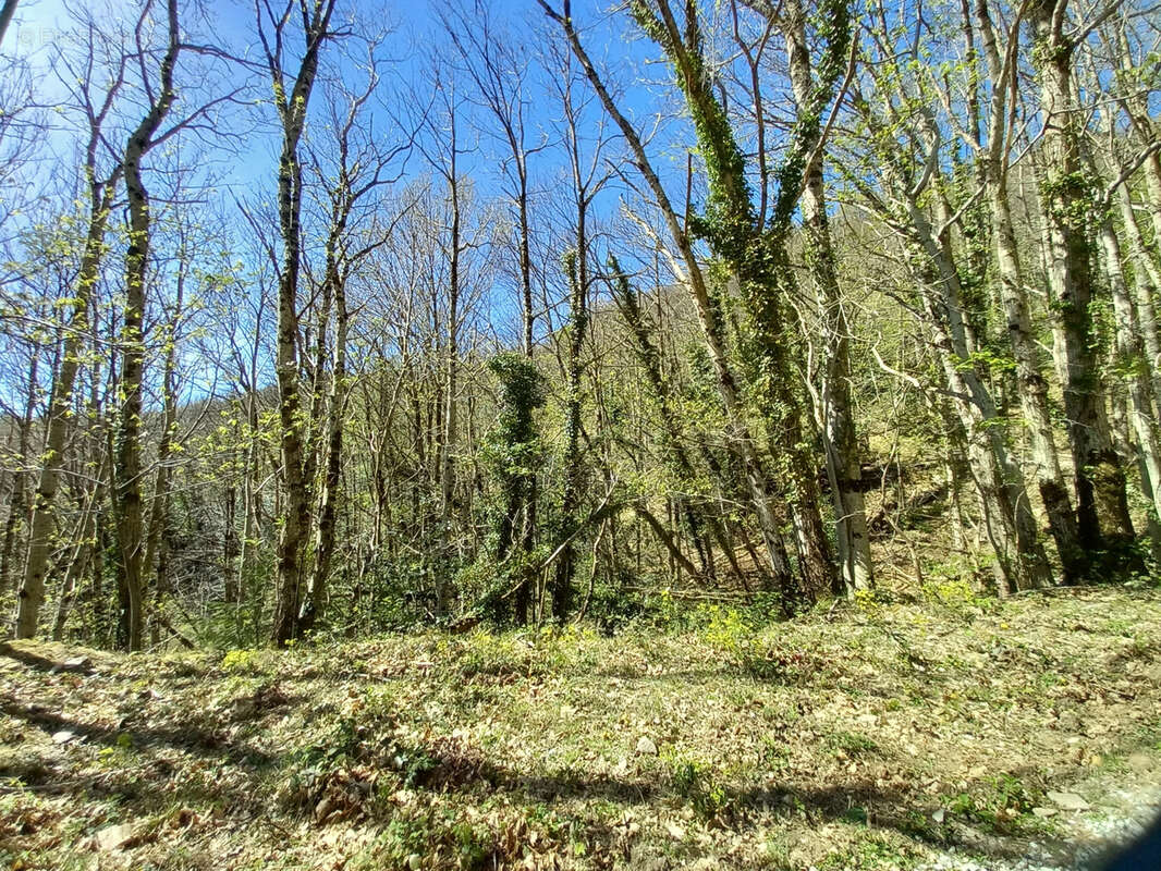 Unique ! ancienne Ferme à rénover sur 15Ha de patures et bois . - photo 36