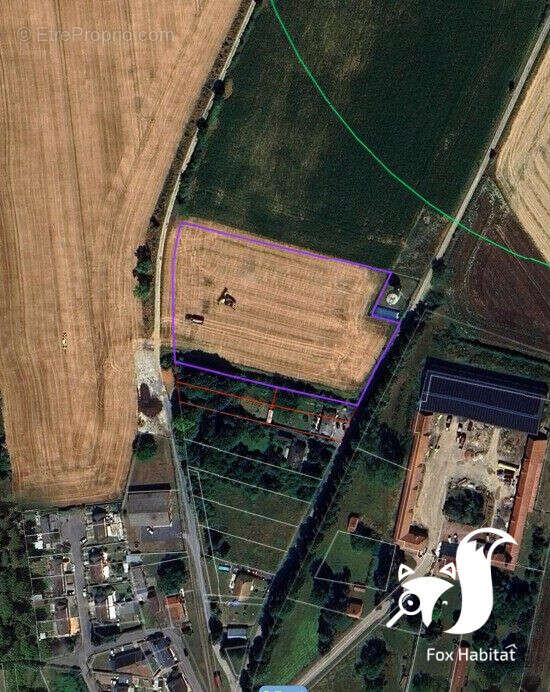 Terrain à BELLICOURT