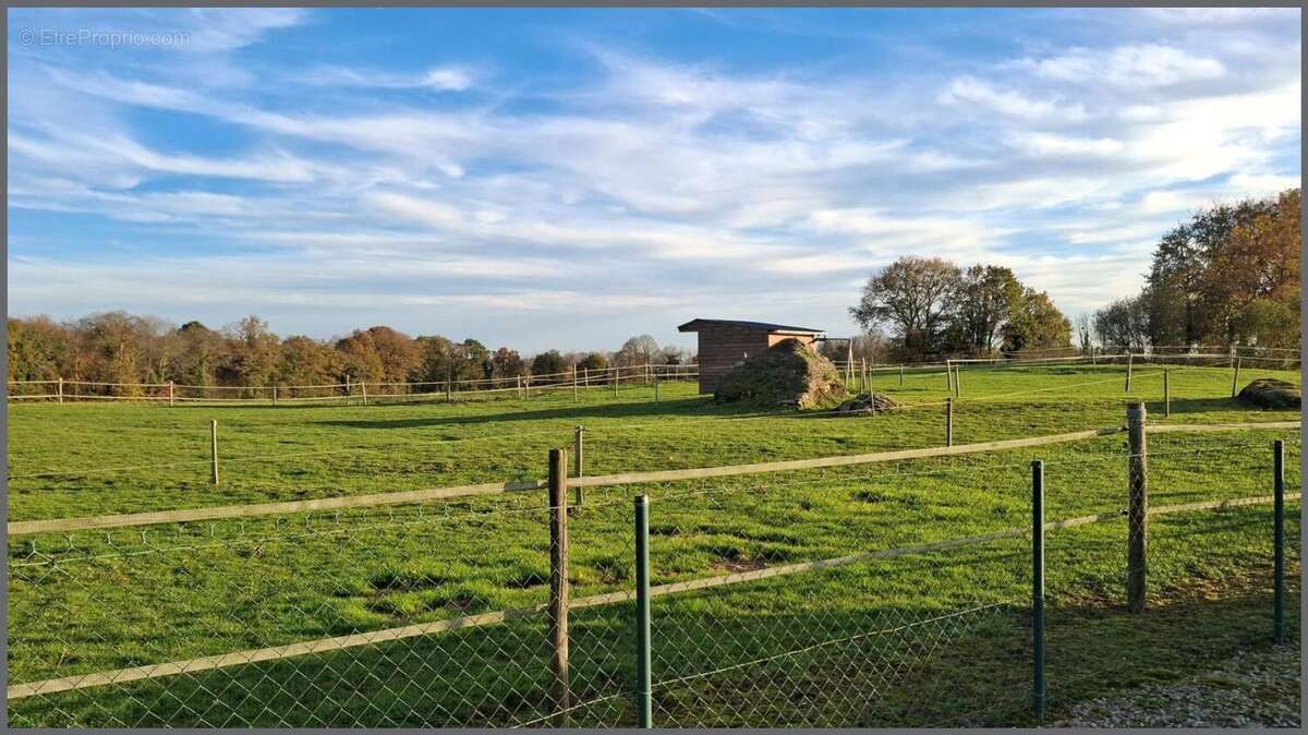 Photo 4 - Maison à NOYAL-SOUS-BAZOUGES