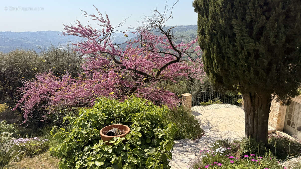 Villa 5 pièces Super Gattières - Vue Mer - photo 13