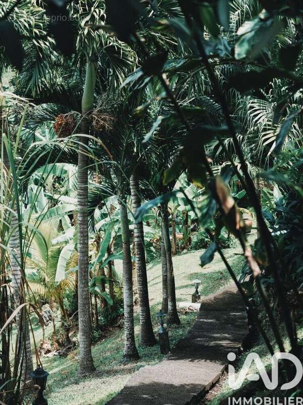 Photo 8 - Maison à RIVIERE-PILOTE