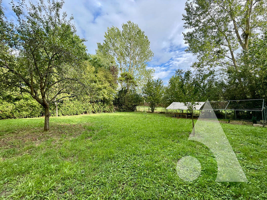 Terrain à RUVIGNY