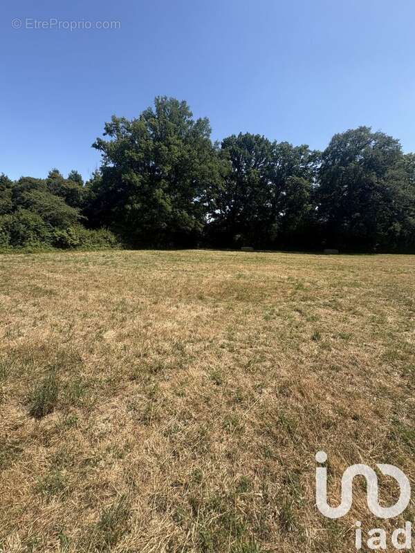 Photo 2 - Terrain à CHATEAUBRIANT
