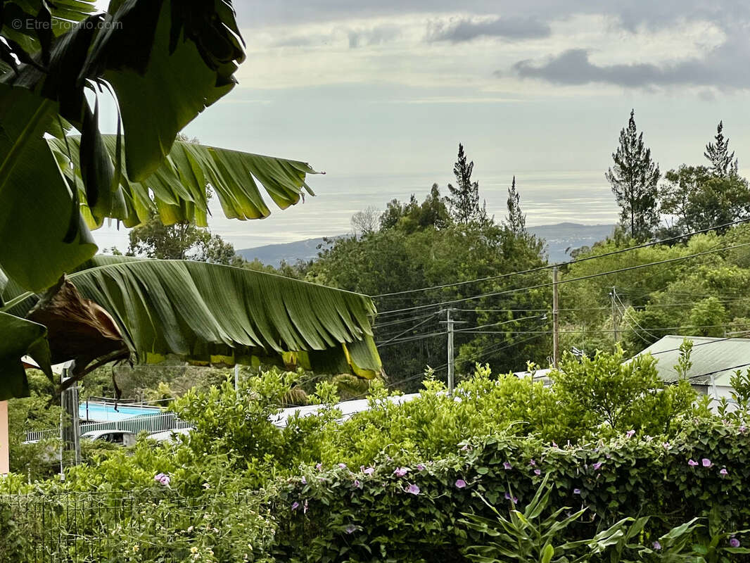 Terrain à LE TAMPON