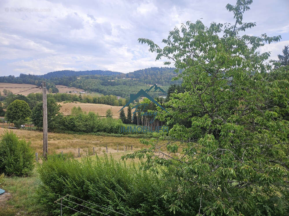 Maison de plain pied sur sous-sol - La Forge - photo 10
