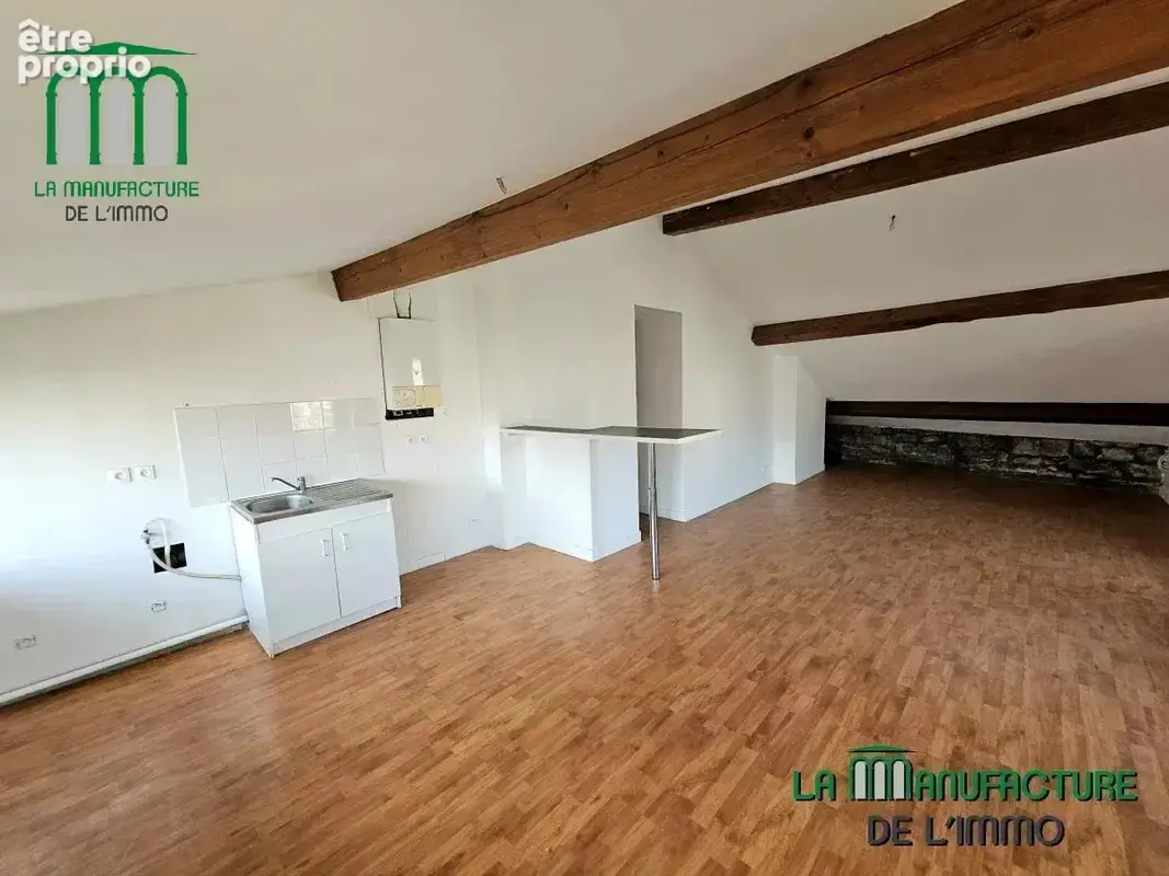 Appartement de caractère de type T3 de 56,83 m² Carrez et 78,88 m² au sol - Prox. Châteaucreux - photo 4
