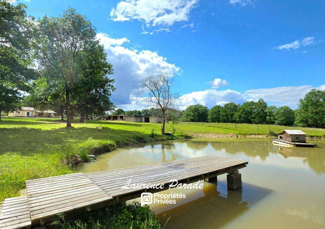 Propriété de charme avec gîte indépendant sur plus de 6 hectares clôturés - photo 2