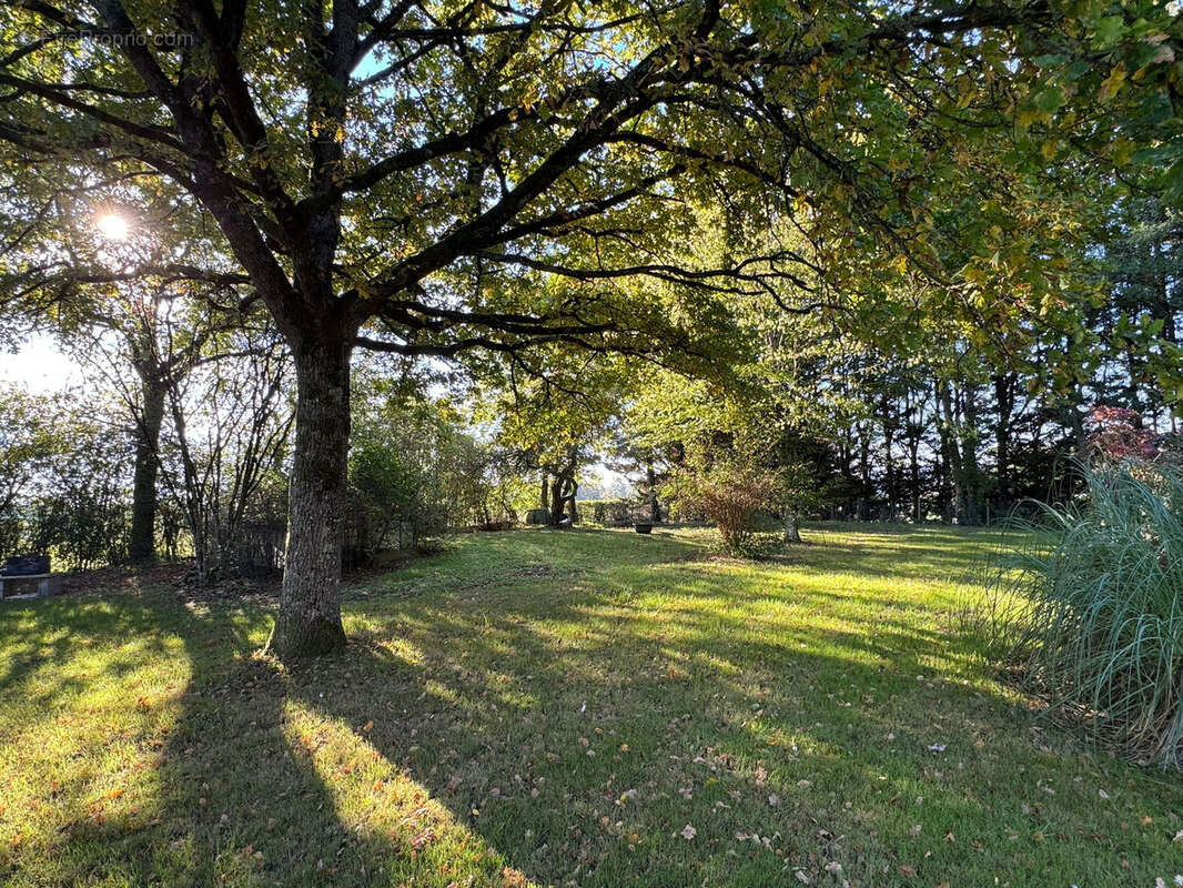 Maison à SAINT-PRIVE