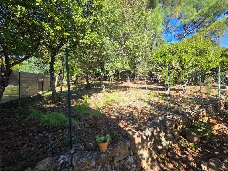 Maison à DURFORT-ET-SAINT-MARTIN-DE-SOSSENAC