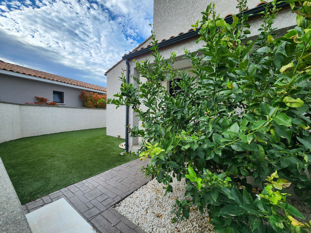 Maison à FRONTIGNAN