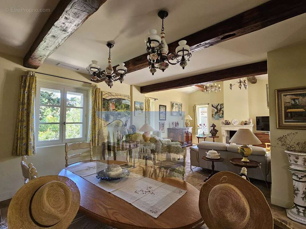Maison Provençale vue Alpilles - photo 8