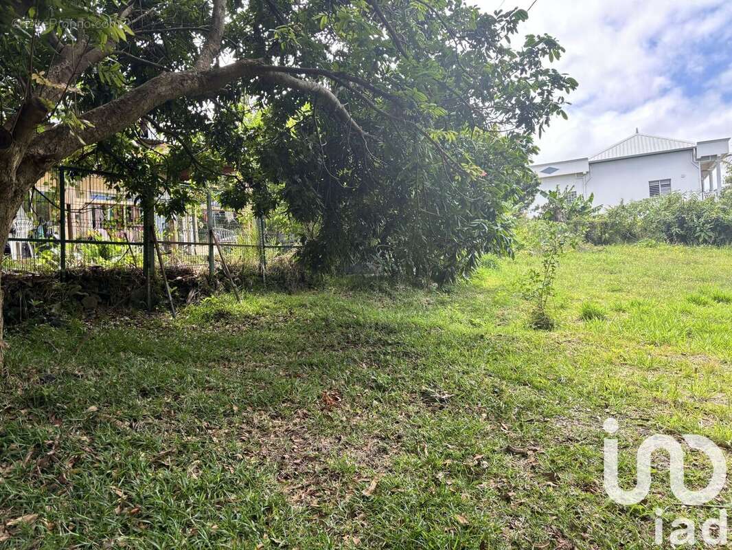 Photo 4 - Terrain à SAINT-PIERRE