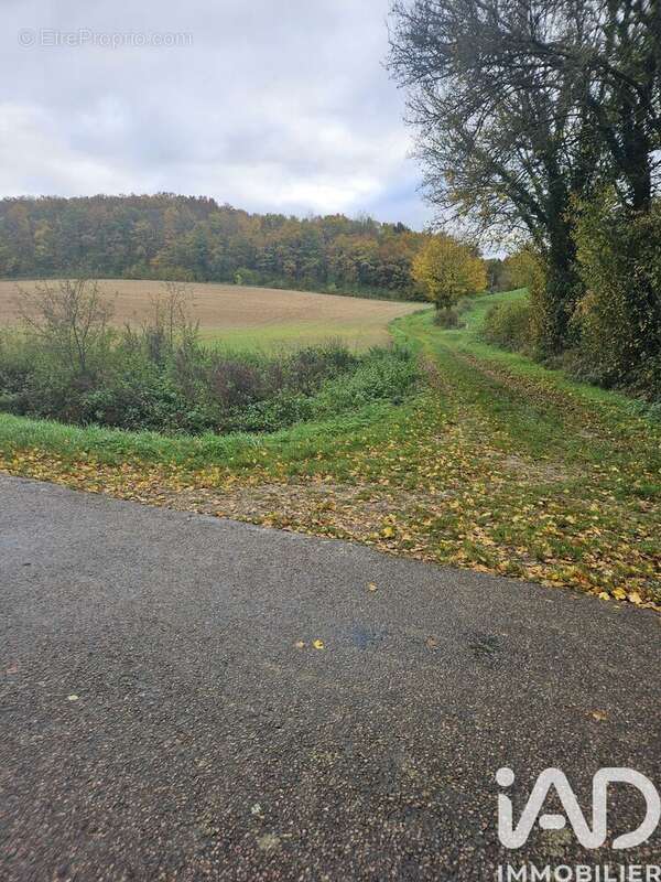 Photo 2 - Terrain à VILLENEUVE-SUR-YONNE