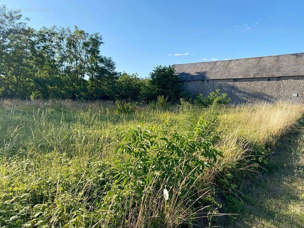 Terrain à VILLERMAIN