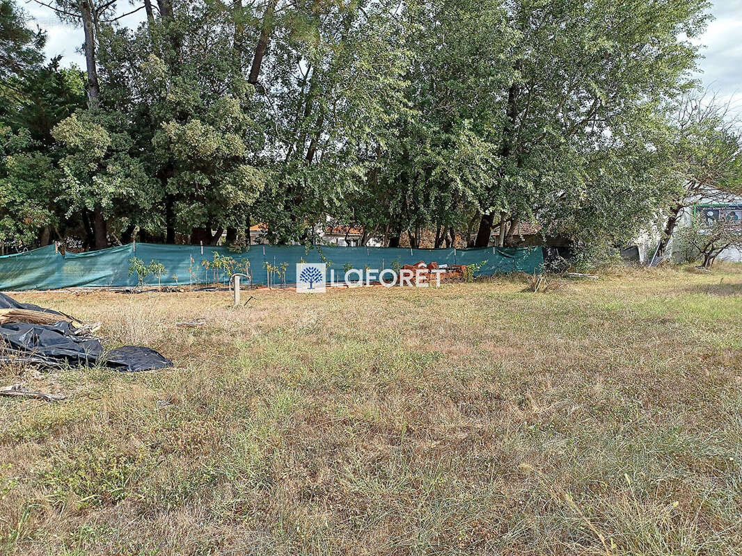 Terrain à SAINT-HILAIRE-DE-RIEZ