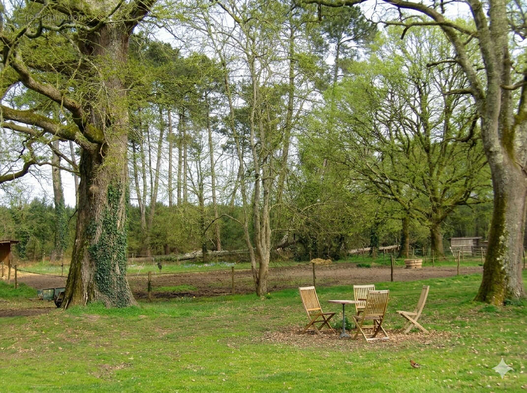 Maison à CREON-D'ARMAGNAC
