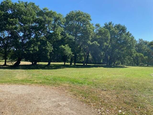 Magnifique propriété de 278 m2 sur 14 hectares - photo 8