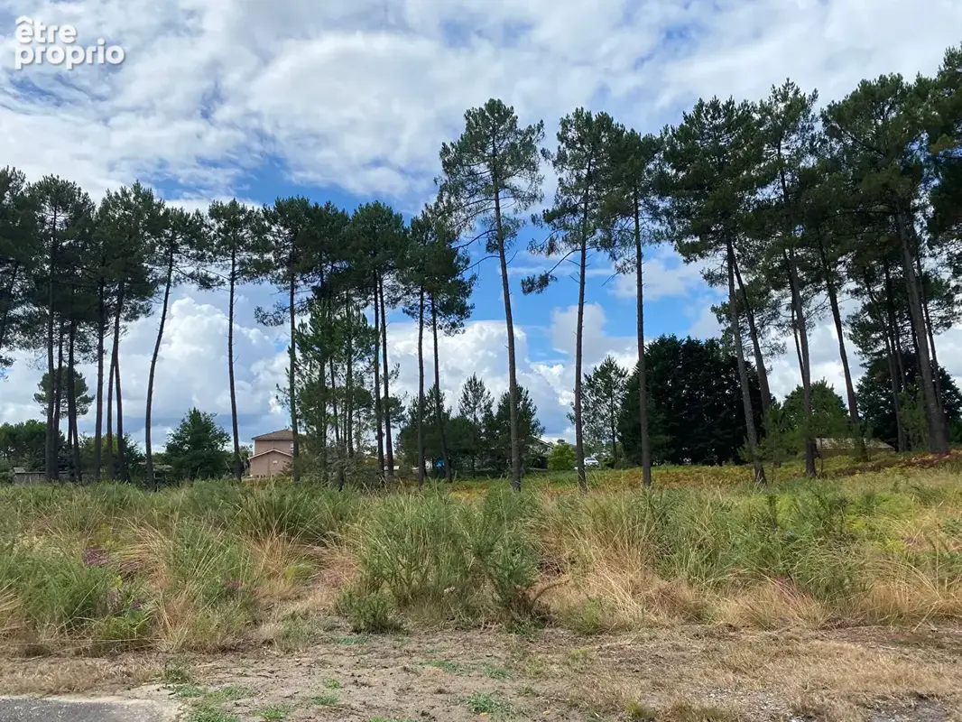 Terrain Rion Des Landes 1125 m2 - photo 2
