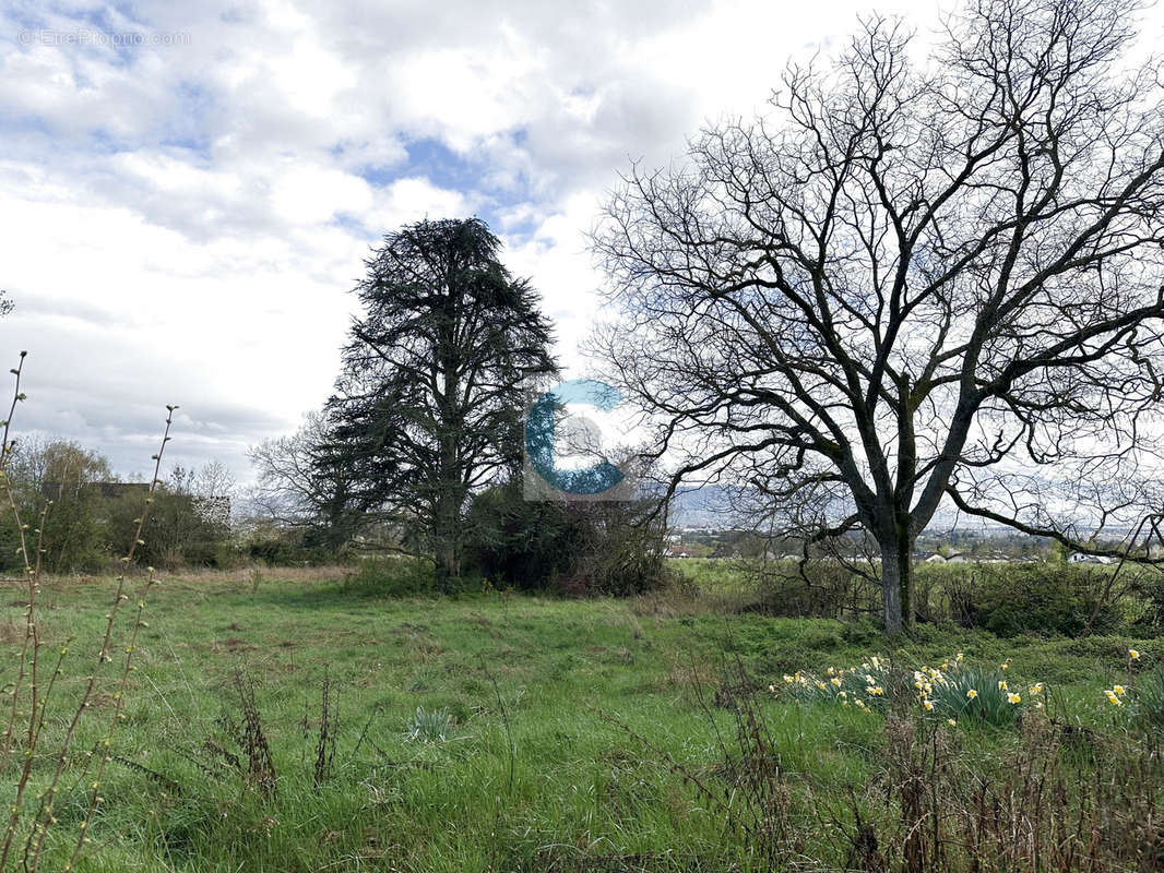 Terrain à PREVESSIN-MOENS