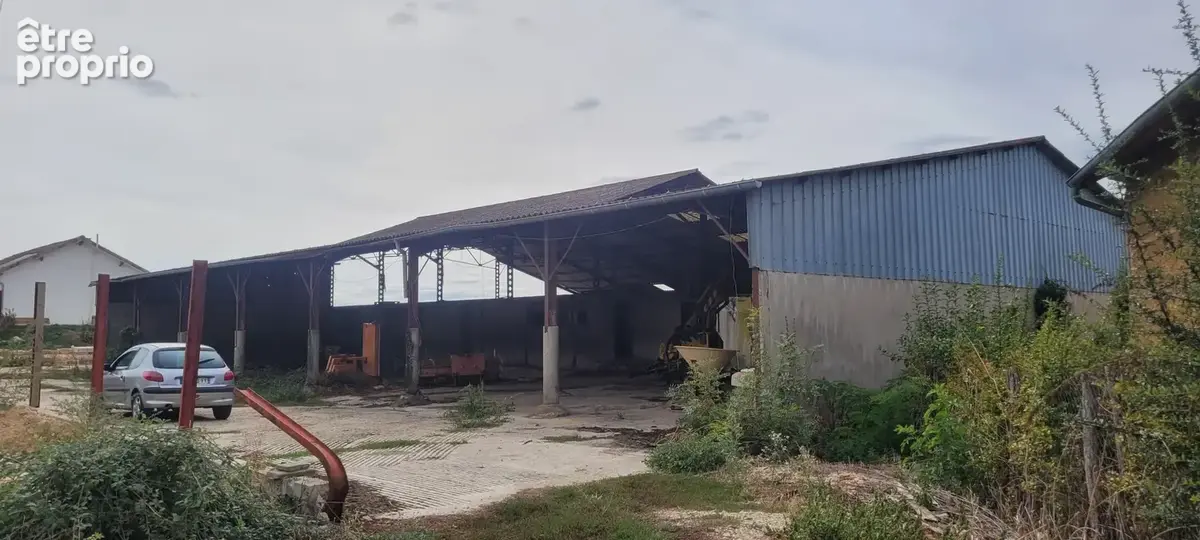 Commerce à CRUZILLES-LES-MEPILLAT