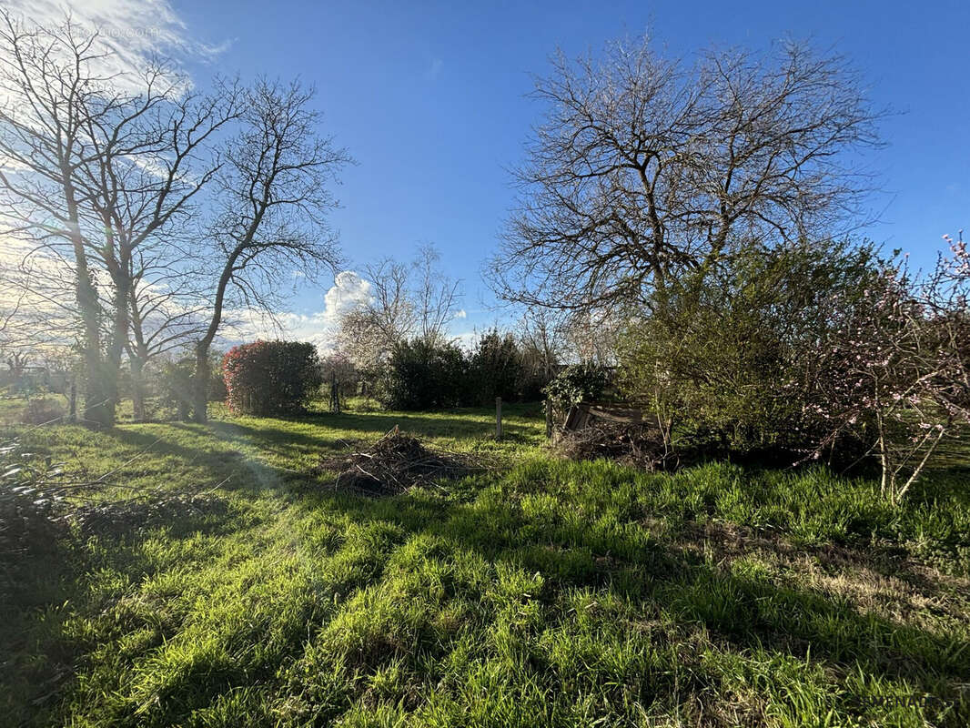 Terrain à PLAISANCE-DU-TOUCH