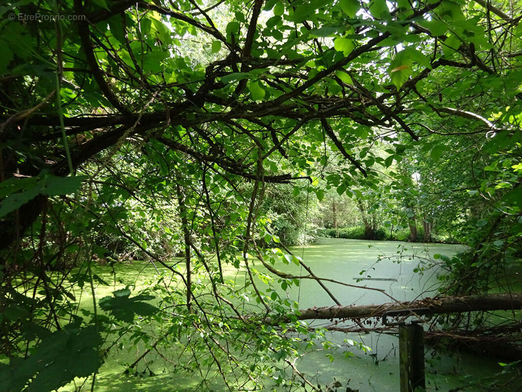 Maison à SAINT-MAIXENT