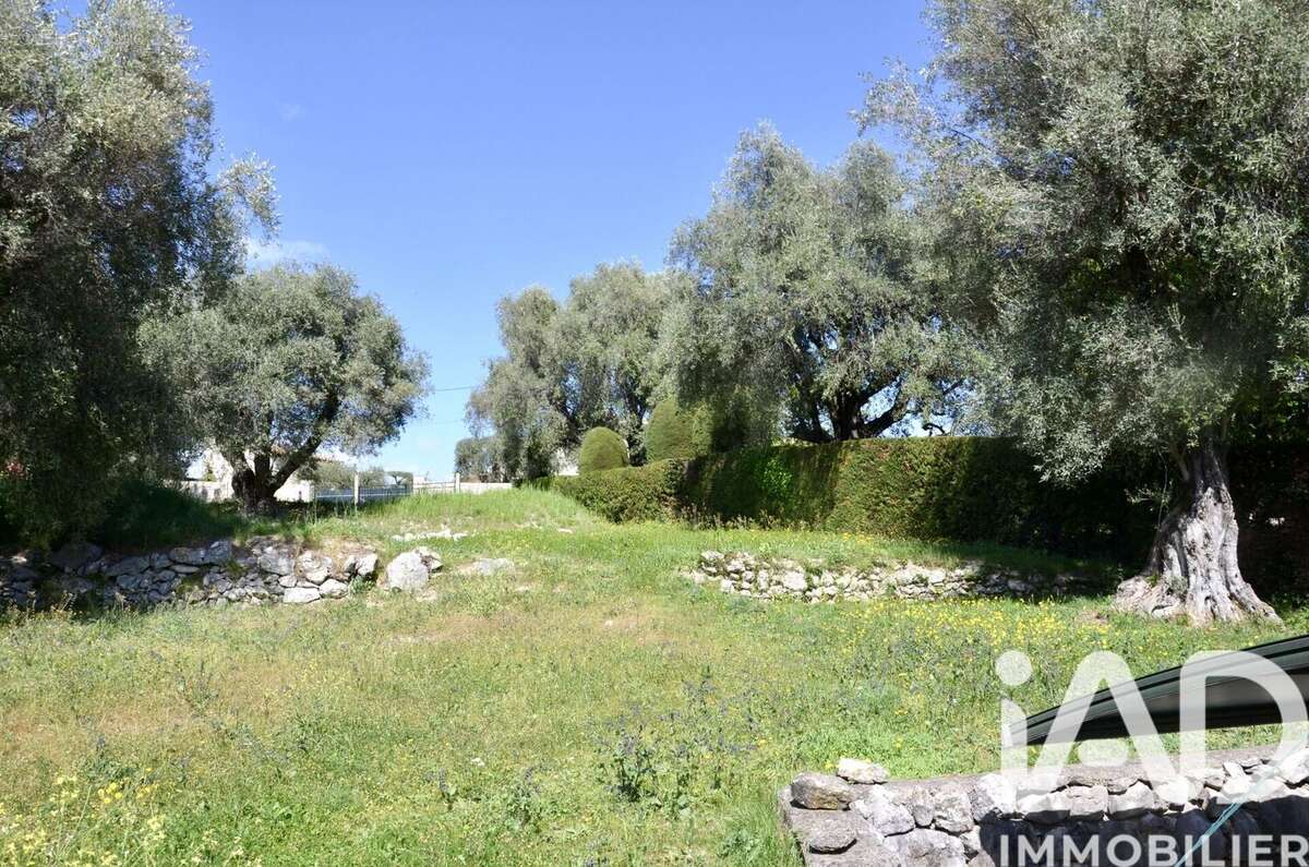Photo 3 - Terrain à ROQUEFORT-LES-PINS