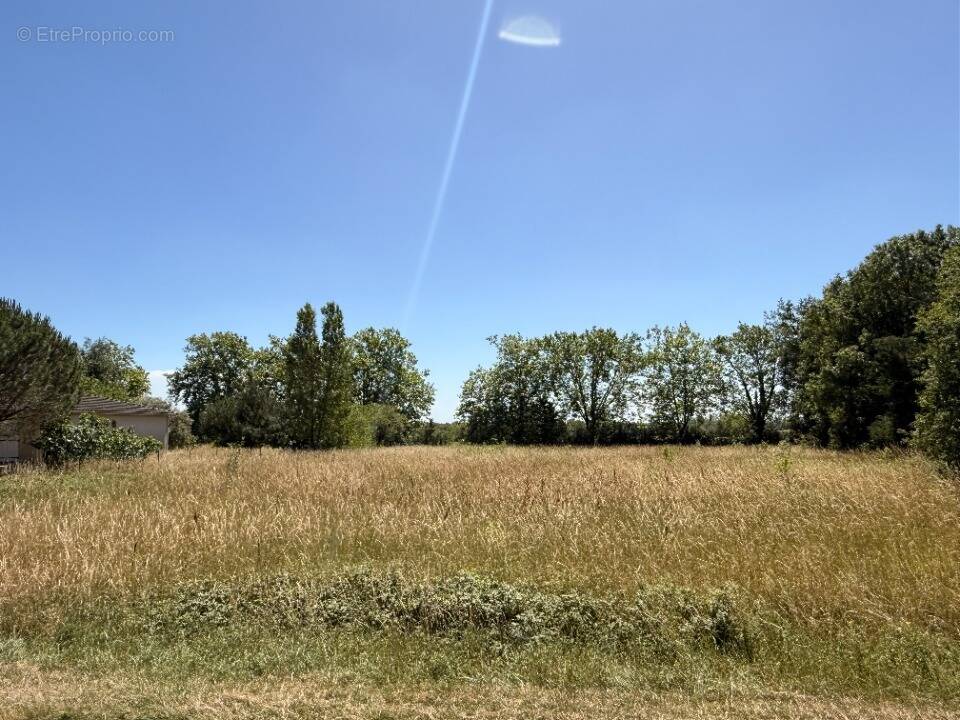 Photo Terrain à Garrevaques au prix de 128 000€