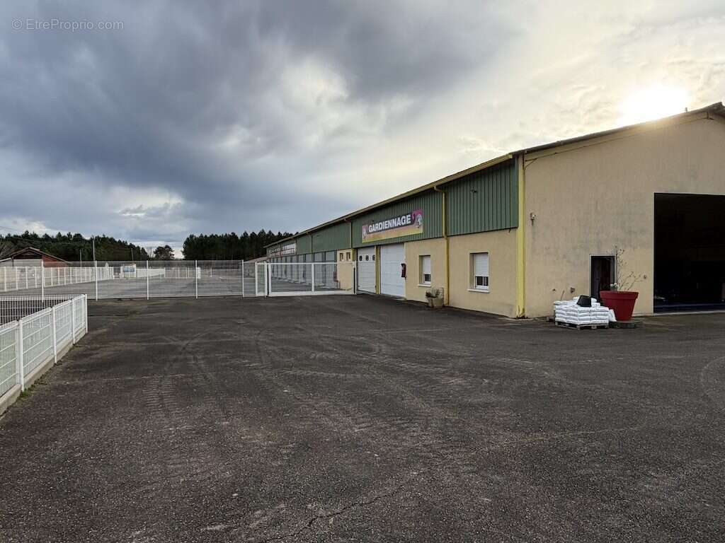 Commerce à SAINT-JULIEN-EN-BORN