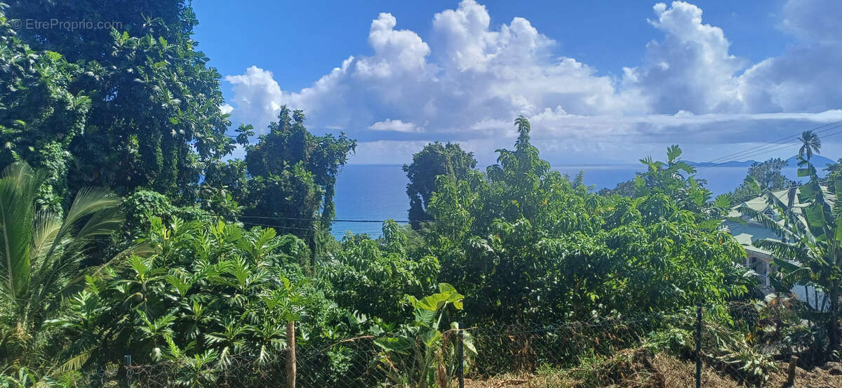 Maison à CAPESTERRE-BELLE-EAU