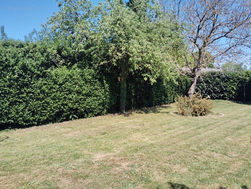 Terrain à LA MADELEINE-DE-NONANCOURT