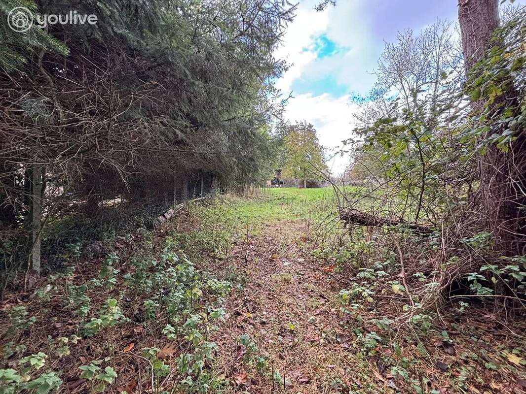 Terrain à INGOUVILLE