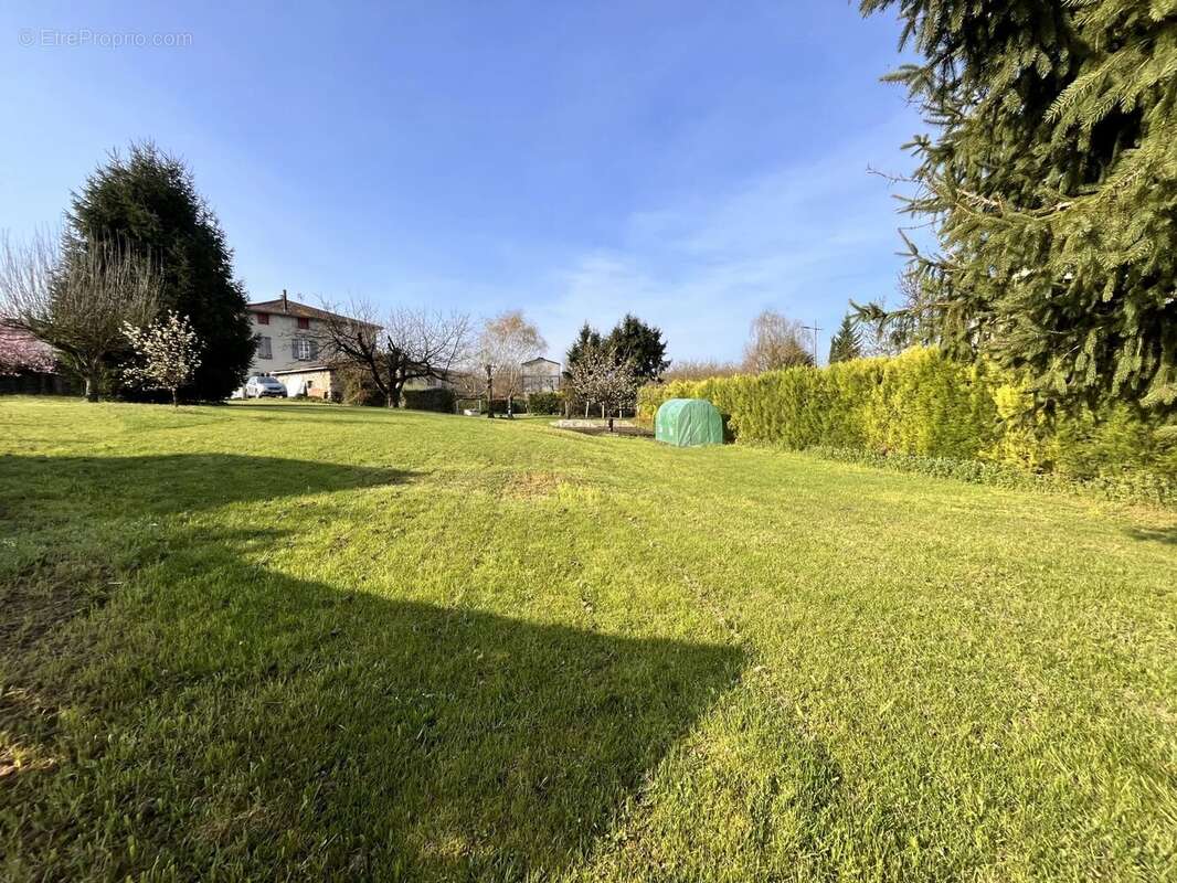 Terrain à SAINT-ROMANS