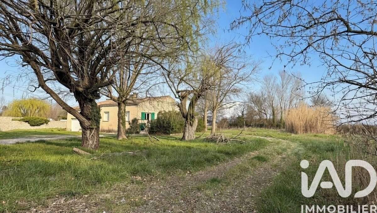 Photo 4 - Maison à BEDARRIDES