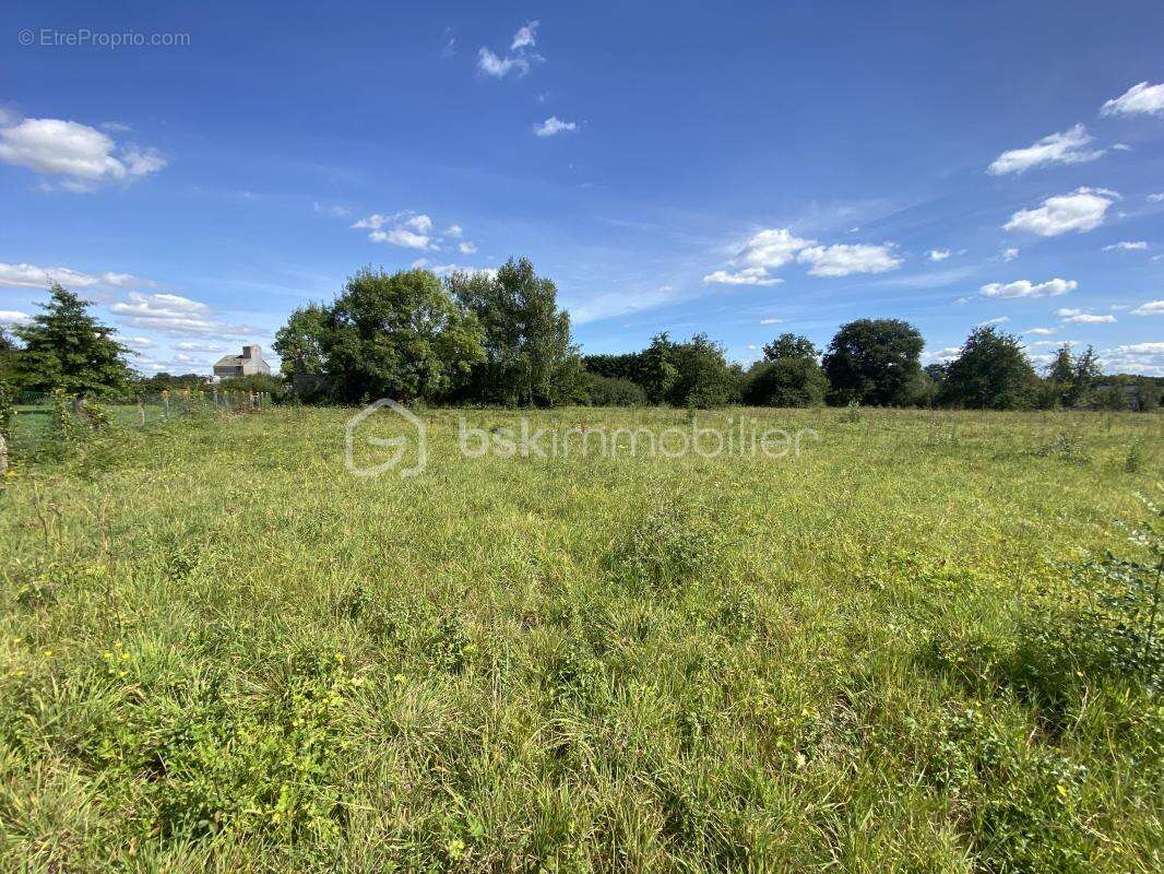 Terrain constructible 1216 m² à AUTHON ( moins de 10 min de CHATEAU-RENAULT ) - photo 3