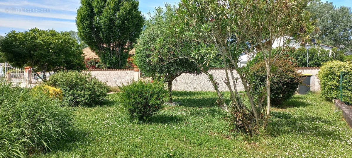 Maison à VILLENEUVE-TOLOSANE