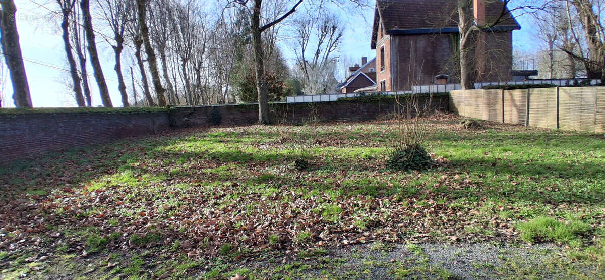 Terrain  480 m2 - photo 3