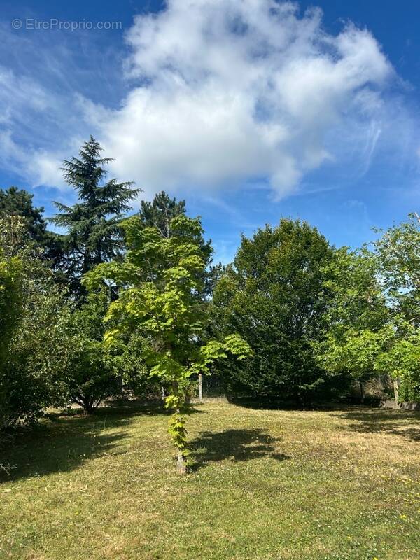 Terrain à ARTANNES-SUR-INDRE