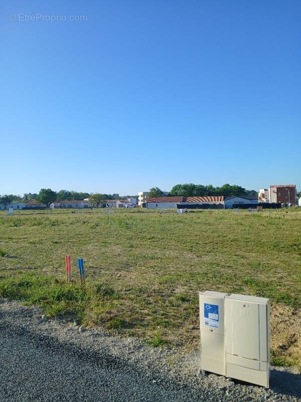 Terrain à BELLEVILLE-SUR-VIE