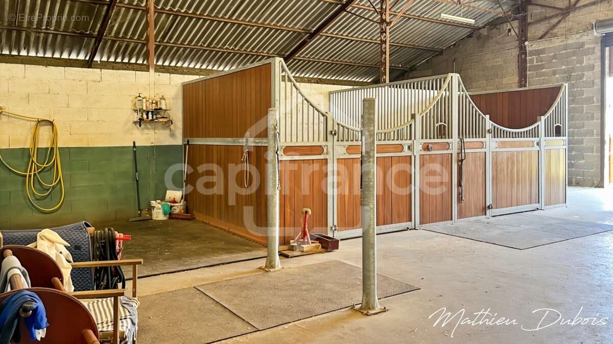 Un domaine de caractère proche d’Eymet avec installations équestres, gîtes et studio yoga/bien-être - photo 31