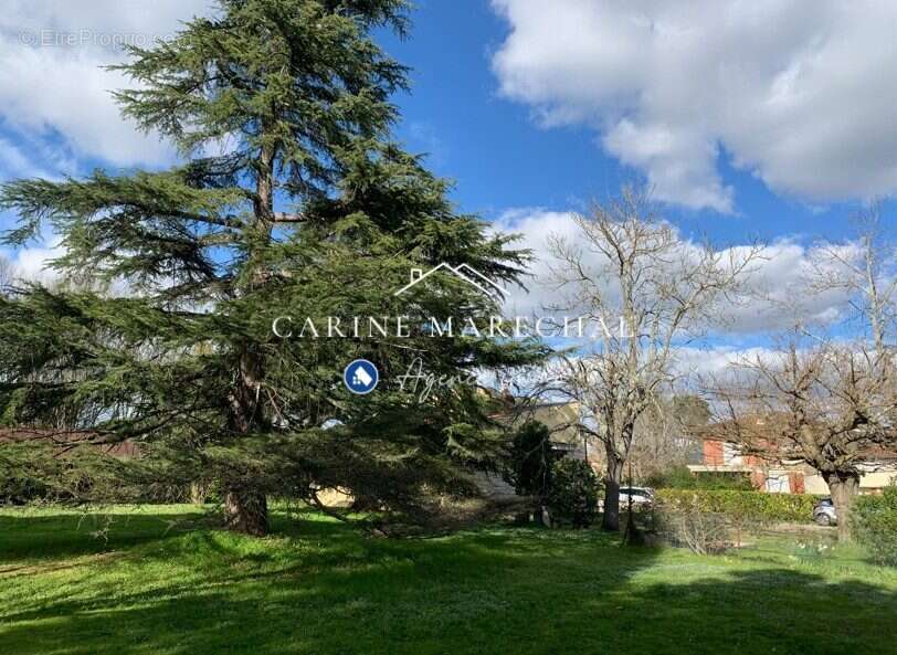 Terrain à TOURNEFEUILLE