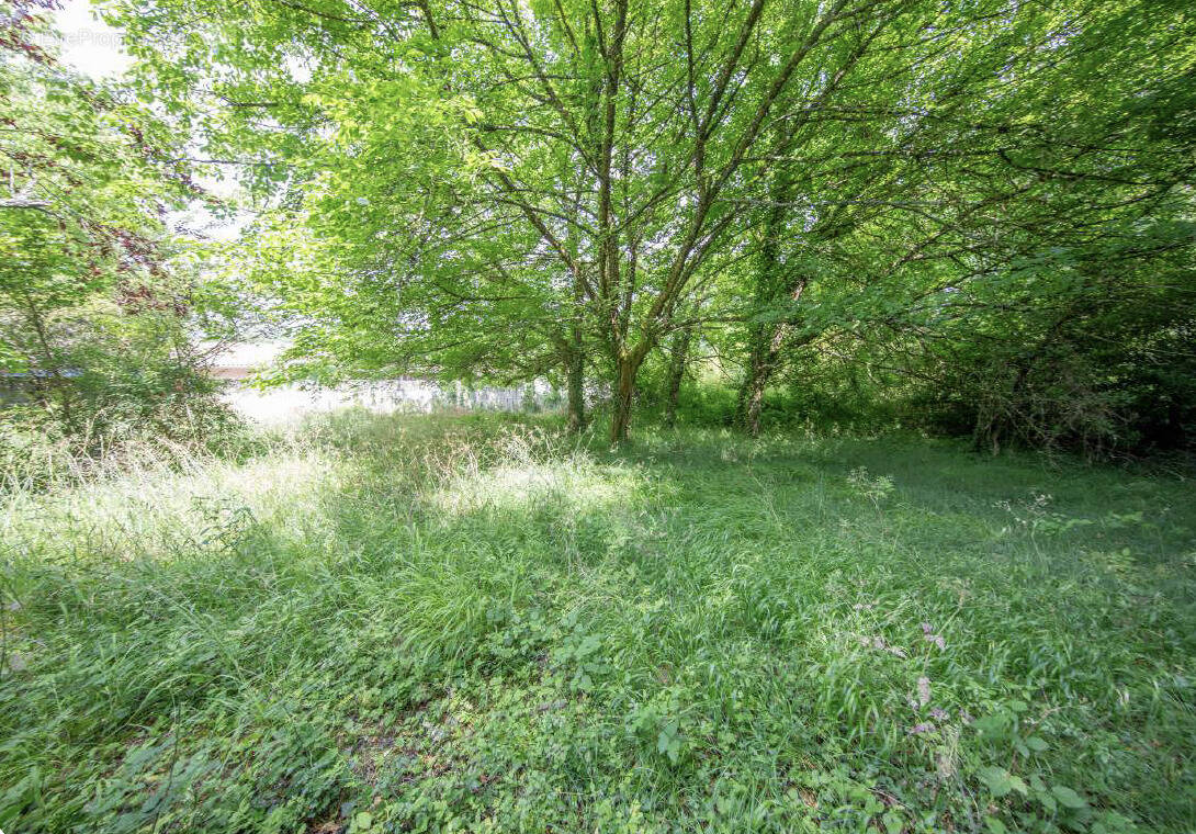 Terrain à LE PIAN-MEDOC