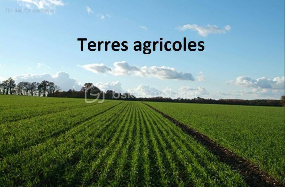 Terrain à SORT-EN-CHALOSSE