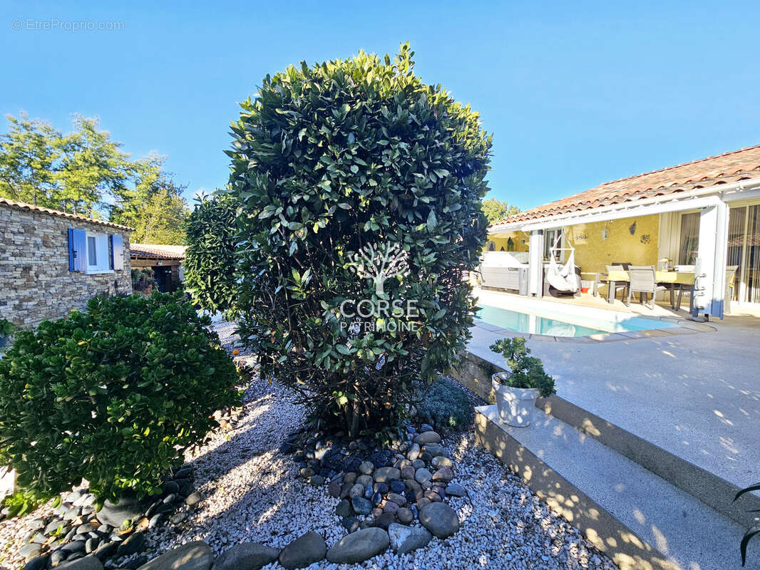 Maison à SOLARO