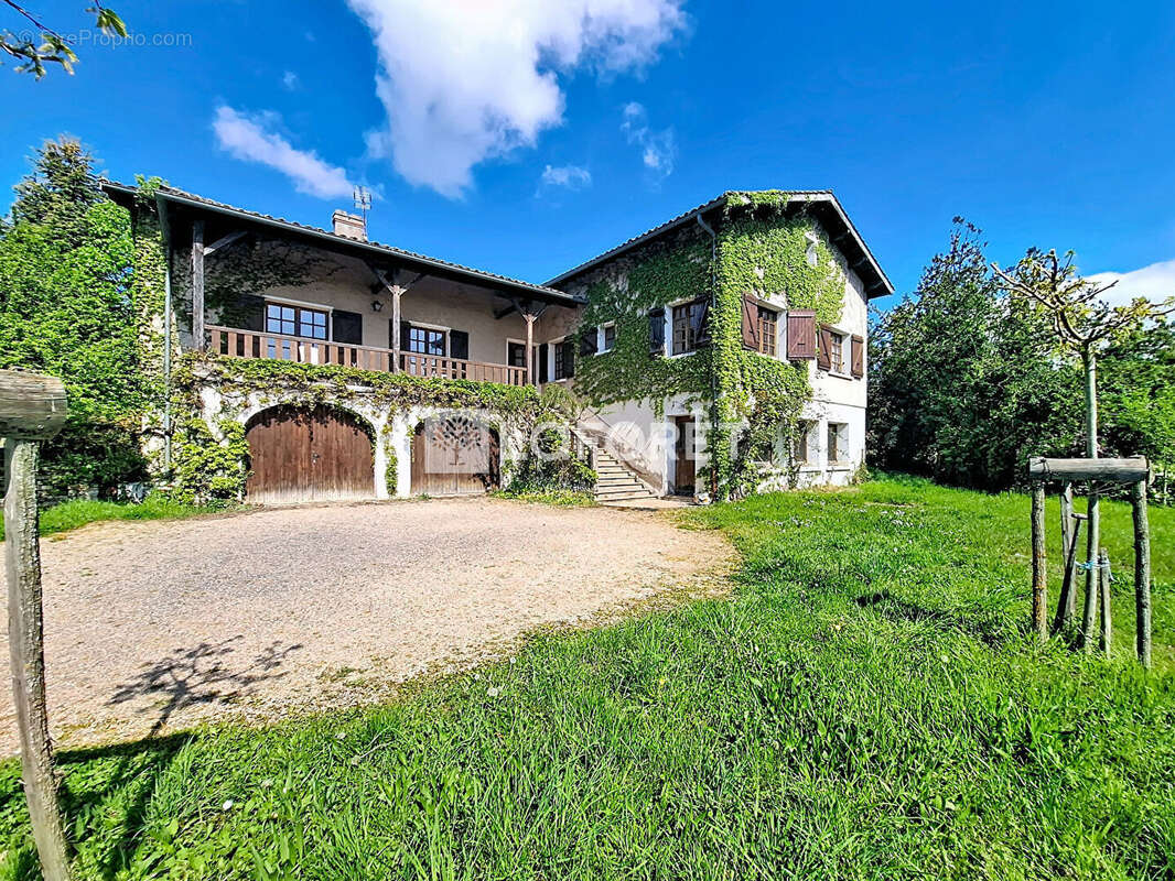 Maison à BELLEVILLE