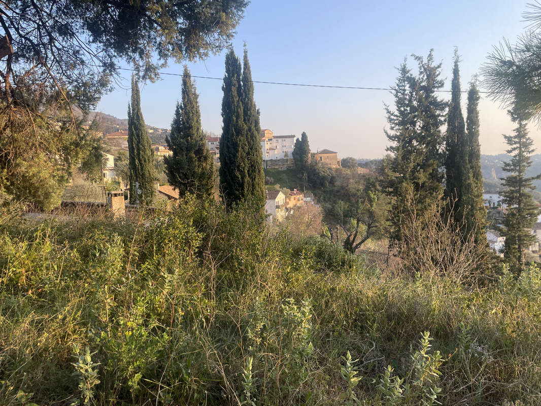 Terrain à CASTAGNIERS