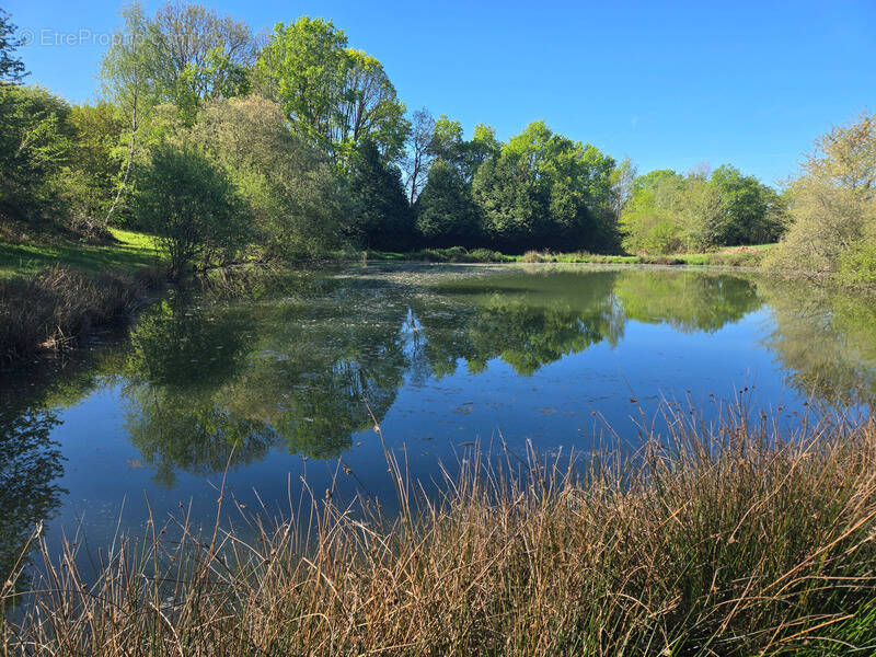 Terrain à SAINT-YRIEIX-SOUS-AIXE