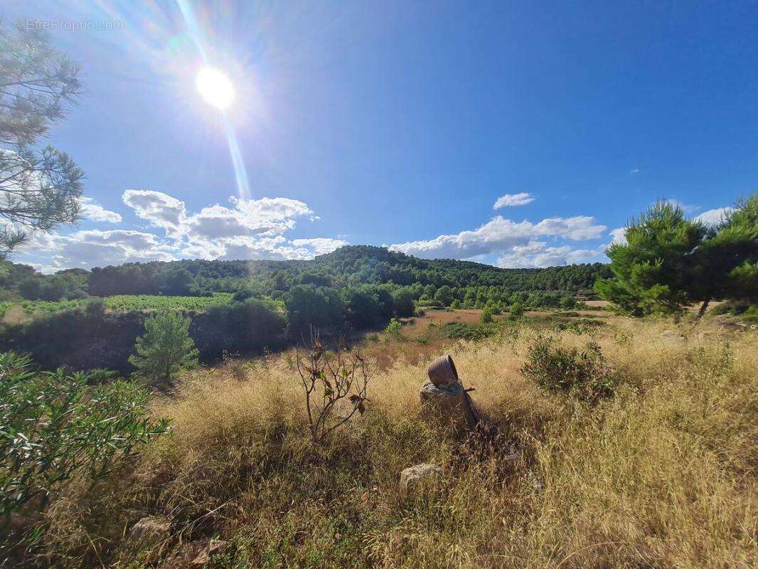 Maison à BIZE-MINERVOIS